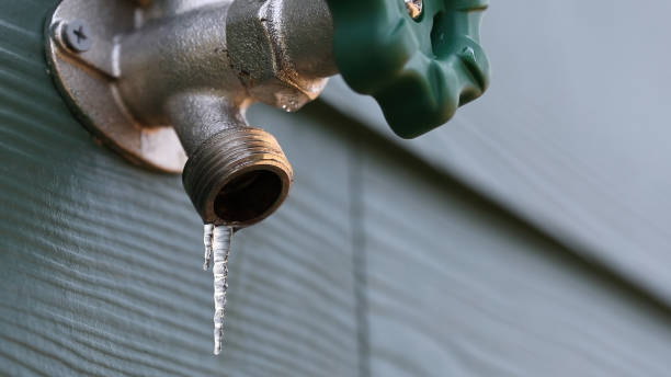 Best Plumbing Inspection Services  in Glenwood, MN