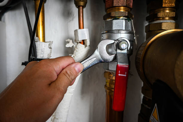 Best Shower Repair Services  in Glenwood, MN